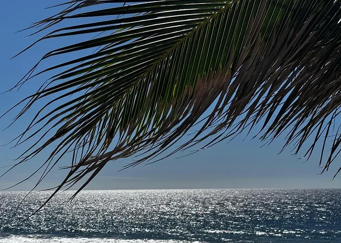 The Cerritos Beach Inn